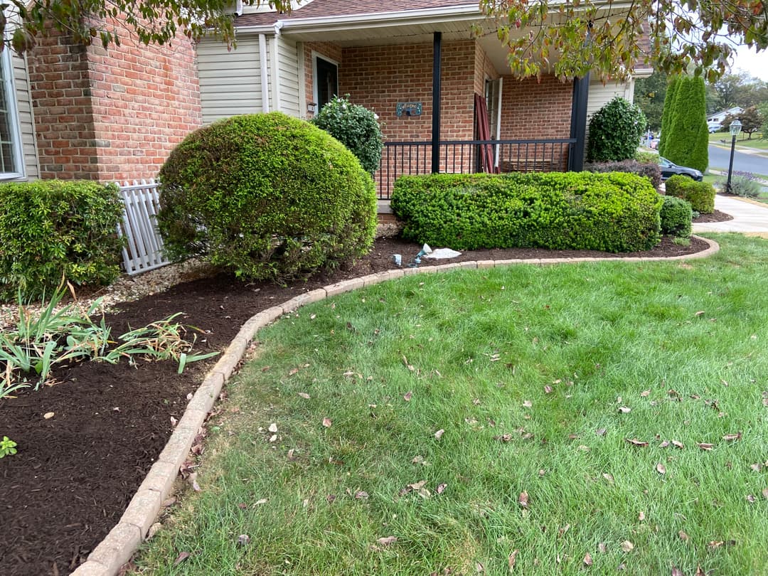 full landscaping